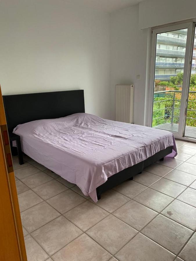 Superbe Lumineux Et Spacieux Appartement Antwerpen