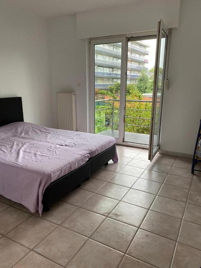 Superbe Lumineux Et Spacieux Apartment